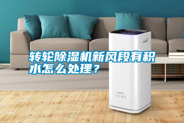 轉輪除濕機新風段有積水怎么處理?