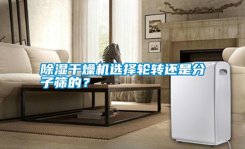 除濕干燥機選擇輪轉還是分子篩的?