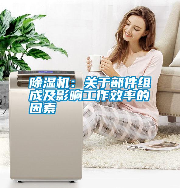 除濕機：關于部件組成及影響工作效率的因素