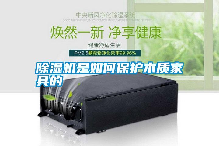 除濕機是如何保護木質家具的