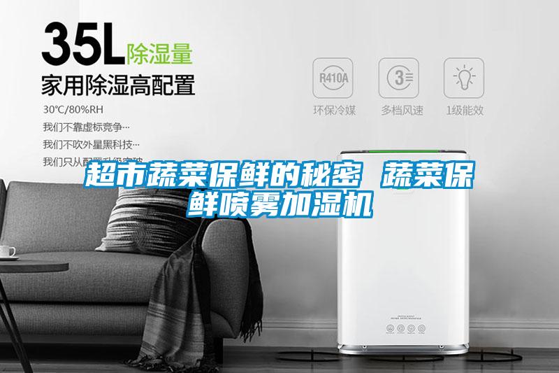 超市蔬菜保鮮的秘密 蔬菜保鮮噴霧加濕機