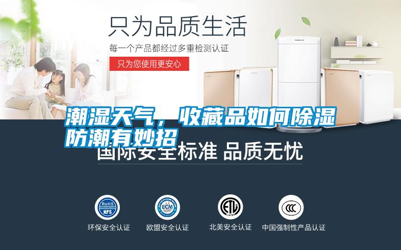 潮濕天氣,收藏品如何除濕防潮有妙招