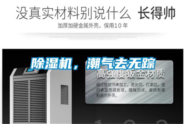 除濕機,潮氣去無蹤