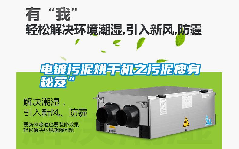 電鍍污泥烘干機之污泥瘦身秘笈”