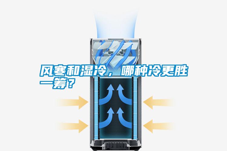 風寒和濕冷,哪種冷更勝一籌?