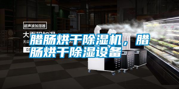 臘腸烘干除濕機，臘腸烘干除濕設備