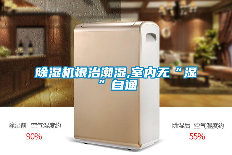 除濕機根治潮濕,室內無“濕”自通