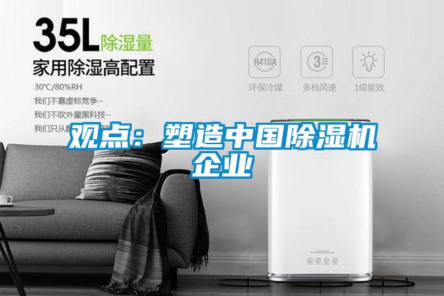 觀點：塑造中國除濕機企業(yè)