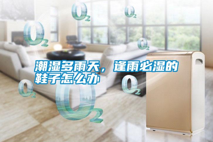 潮濕多雨天,逢雨必濕的鞋子怎么辦