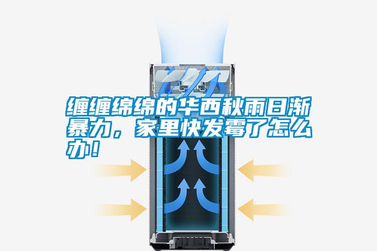 纏纏綿綿的華西秋雨日漸暴力，家里快發霉了怎么辦！
