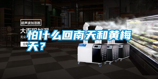 怕什么回南天和黃梅天?