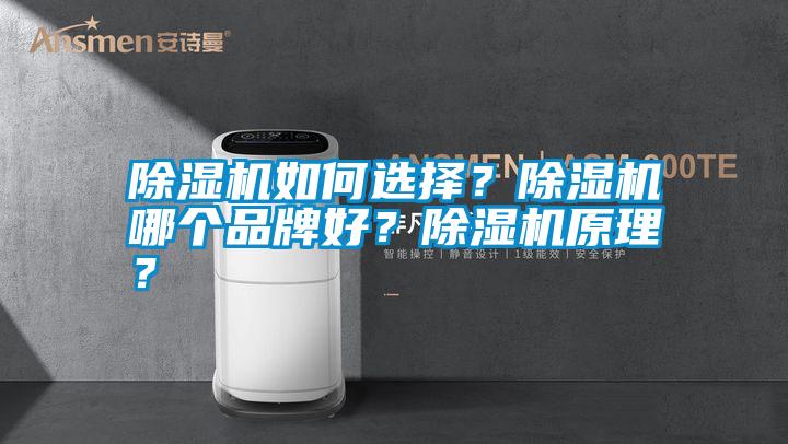 除濕機如何選擇?除濕機哪個品牌好?除濕機原理?