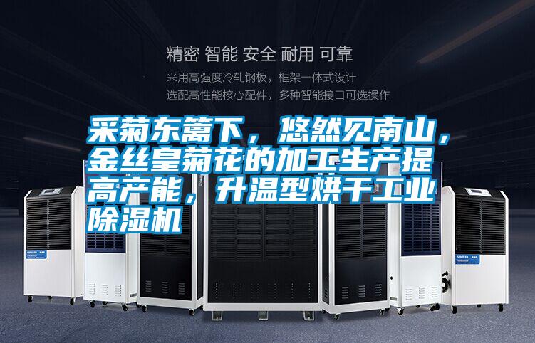 采菊東籬下,悠然見南山,金絲皇菊花的加工生產提高產能,升溫型烘干工業除濕機