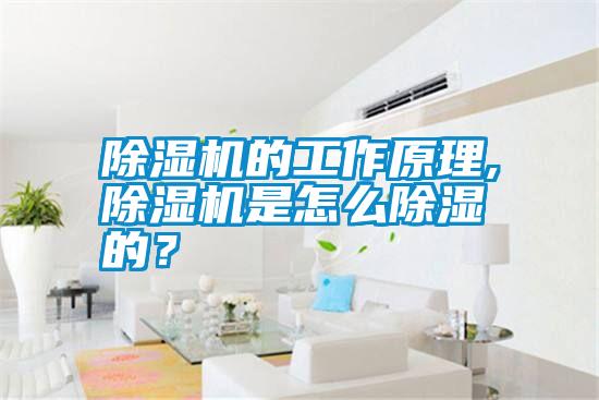 除濕機的工作原理,除濕機是怎么除濕的？