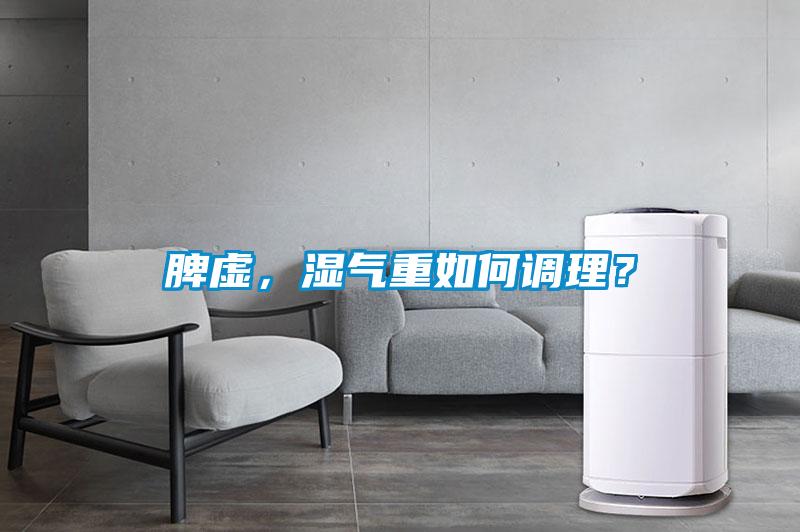 脾虛,濕氣重如何調理?