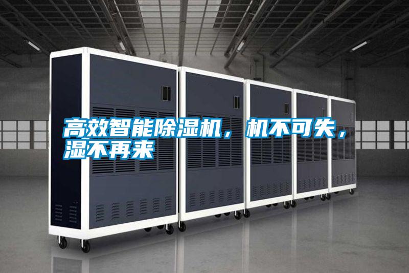 高效智能除濕機,機不可失,濕不再來