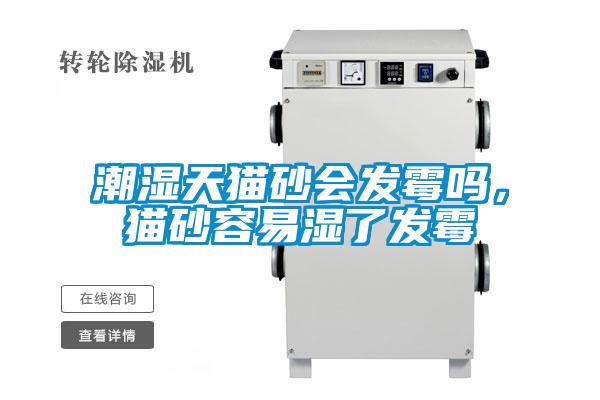 潮濕天貓砂會發霉嗎，貓砂容易濕了發霉