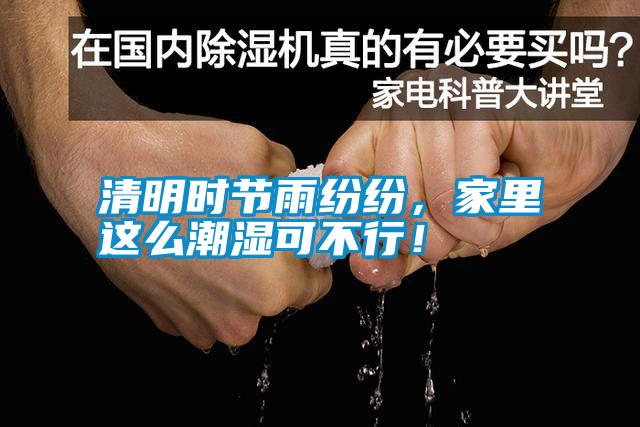 清明時節雨紛紛，家里這么潮濕可不行！
