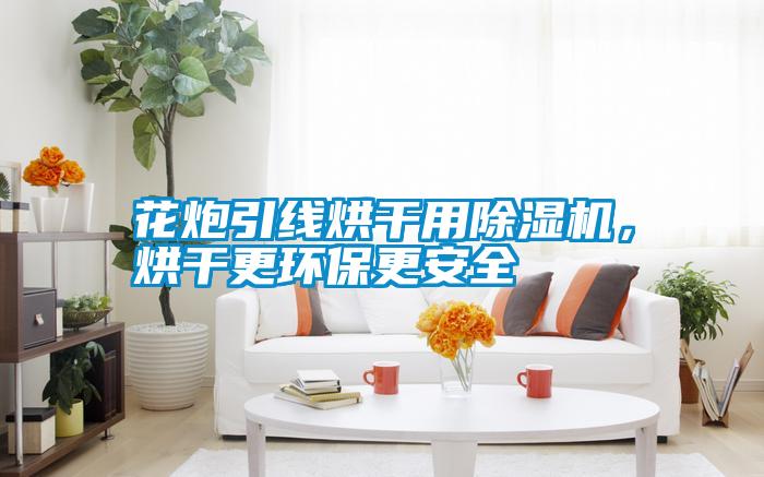 花炮引線烘干用除濕機,烘干更環保更安全