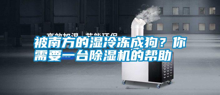 被南方的濕冷凍成狗?你需要一臺除濕機的幫助