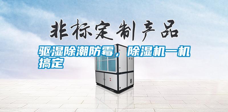 驅(qū)濕除潮防霉,除濕機(jī)一機(jī)搞定