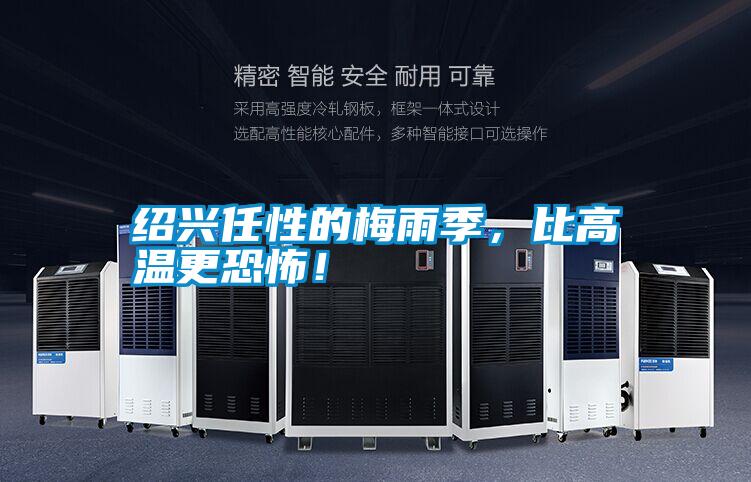 紹興任性的梅雨季,比高溫更恐怖!