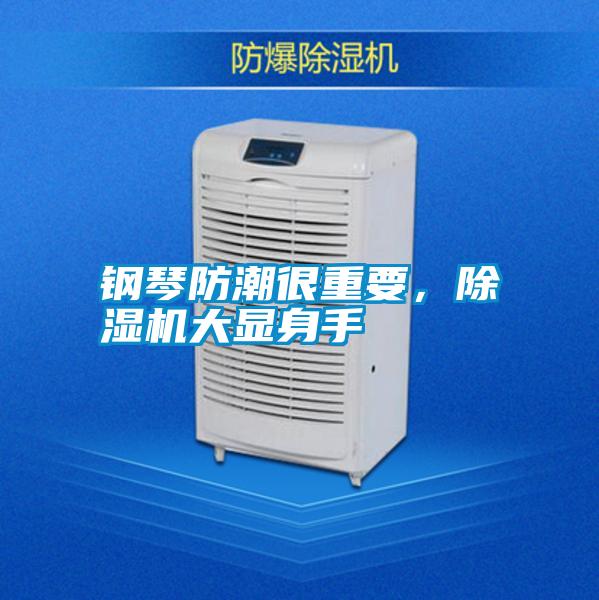 鋼琴防潮很重要,除濕機(jī)大顯身手