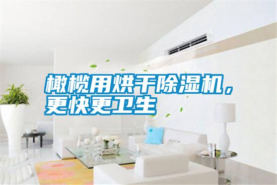 橄欖用烘干除濕機(jī)，更快更衛(wèi)生