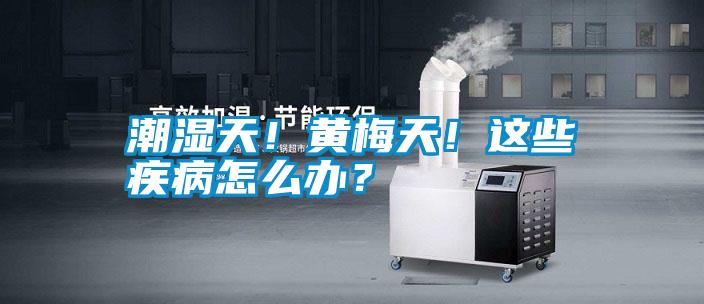 潮濕天!黃梅天!這些疾病怎么辦?