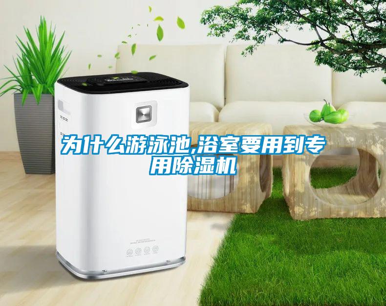 為什么游泳池,浴室要用到專用除濕機