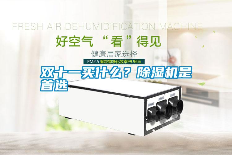 雙十一買什么?除濕機是首選