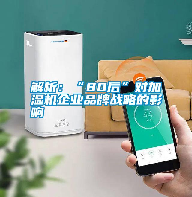 解析:“80后”對加濕機企業(yè)品牌戰(zhàn)略的影響