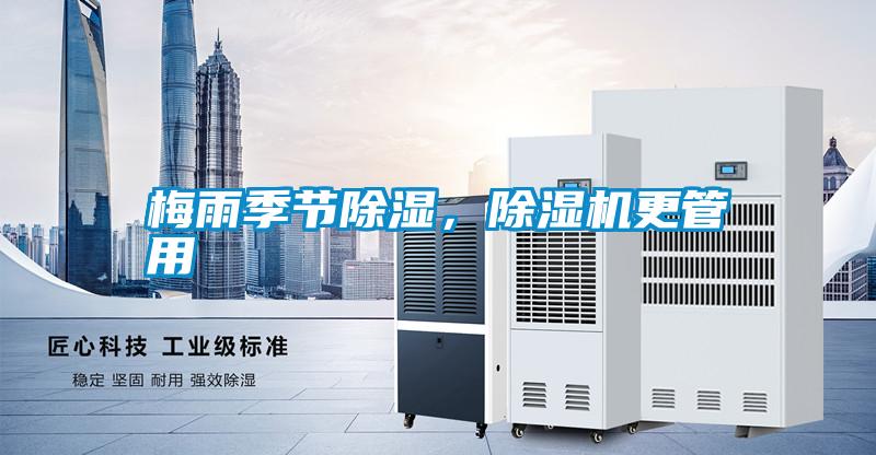 梅雨季節除濕，除濕機更管用