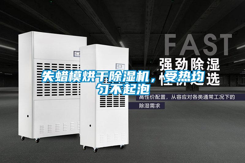 失蠟模烘干除濕機，受熱均勻不起泡