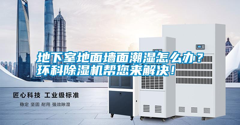地下室地面墻面潮濕怎么辦？環科除濕機幫您來解決！