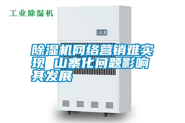 除濕機網絡營銷難實現 山寨化問題影響其發展