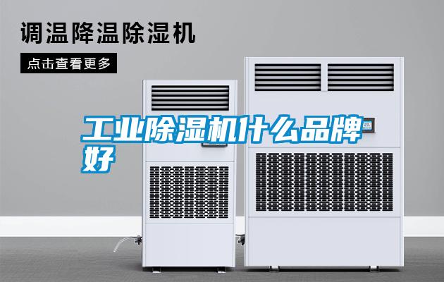 工業除濕機什么品牌好