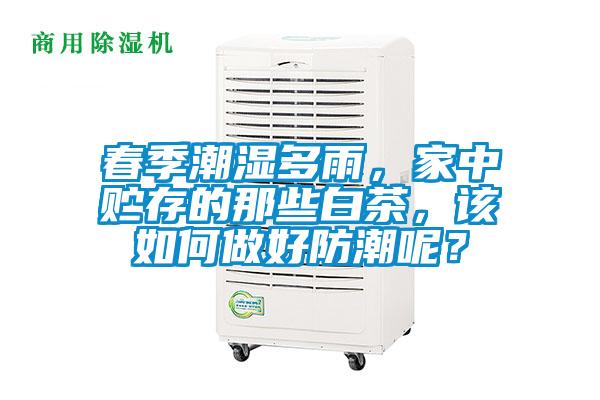 春季潮濕多雨,家中貯存的那些白茶,該如何做好防潮呢?