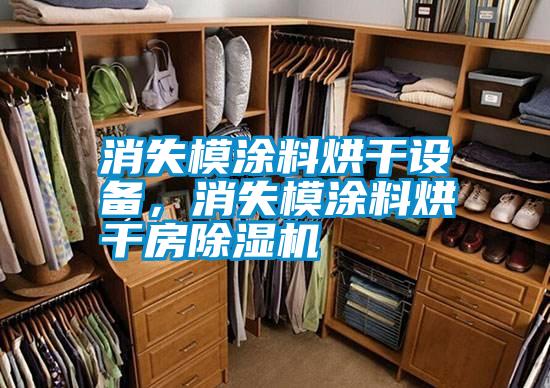 消失模涂料烘干設備，消失模涂料烘干房除濕機