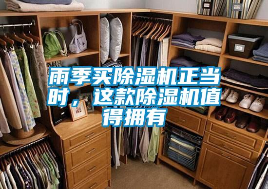 雨季買除濕機(jī)正當(dāng)時(shí),這款除濕機(jī)值得擁有