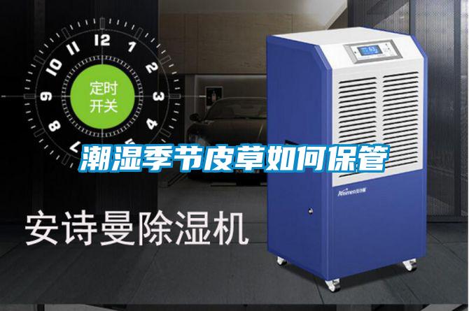 潮濕季節皮草如何保管