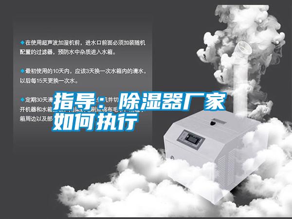 指導:除濕器廠家 如何執行