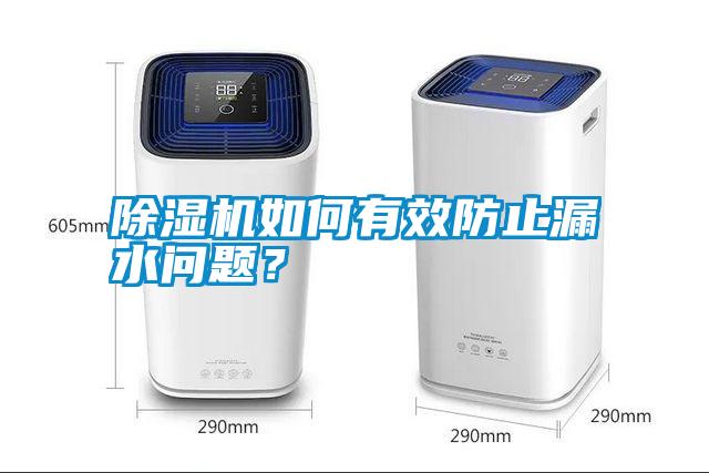 除濕機(jī)如何有效防止漏水問題?