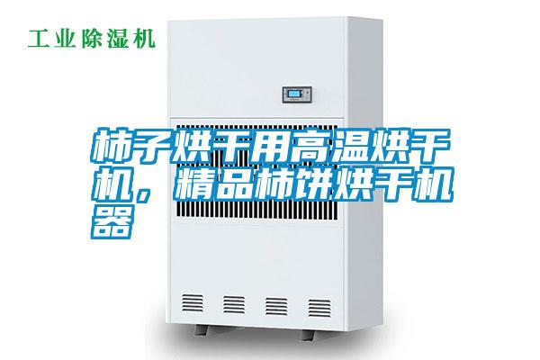 柿子烘干用高溫烘干機,精品柿餅烘干機器