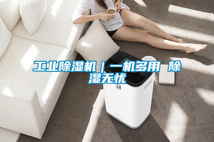 工業除濕機｜一機多用 除濕無憂