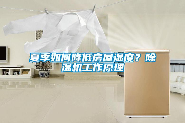夏季如何降低房屋濕度?除濕機工作原理