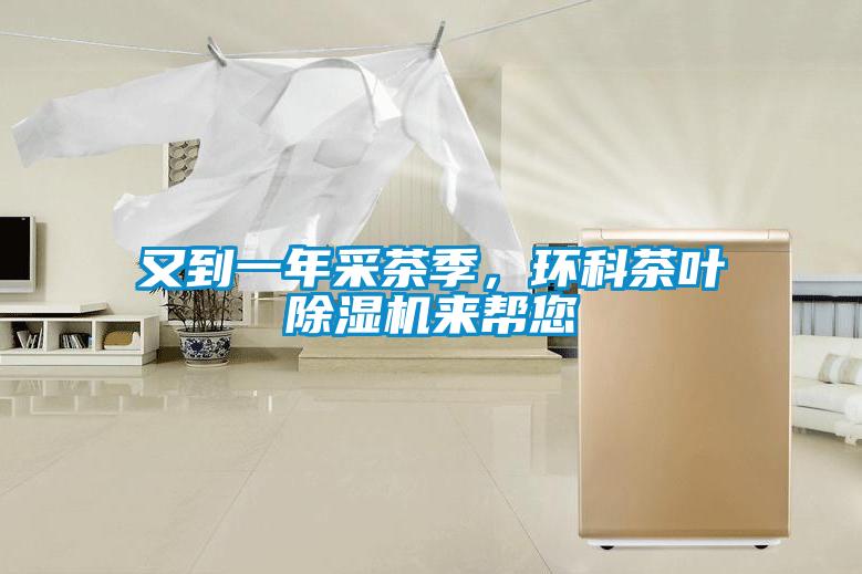 又到一年采茶季,環科茶葉除濕機來幫您