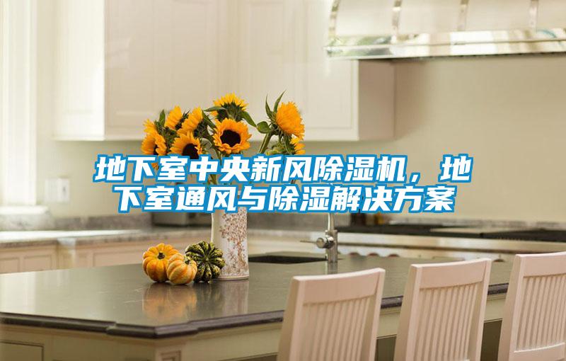 地下室中央新風除濕機，地下室通風與除濕解決方案