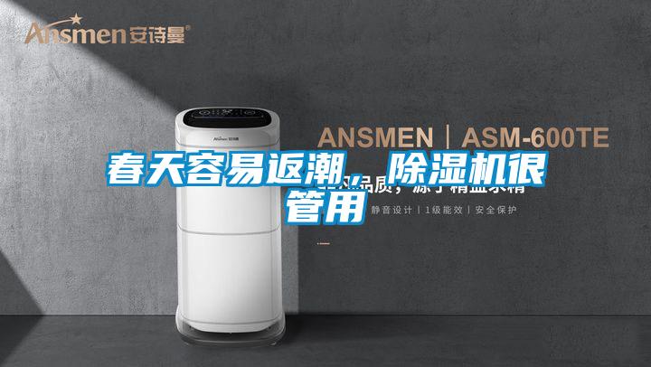 春天容易返潮，除濕機很管用