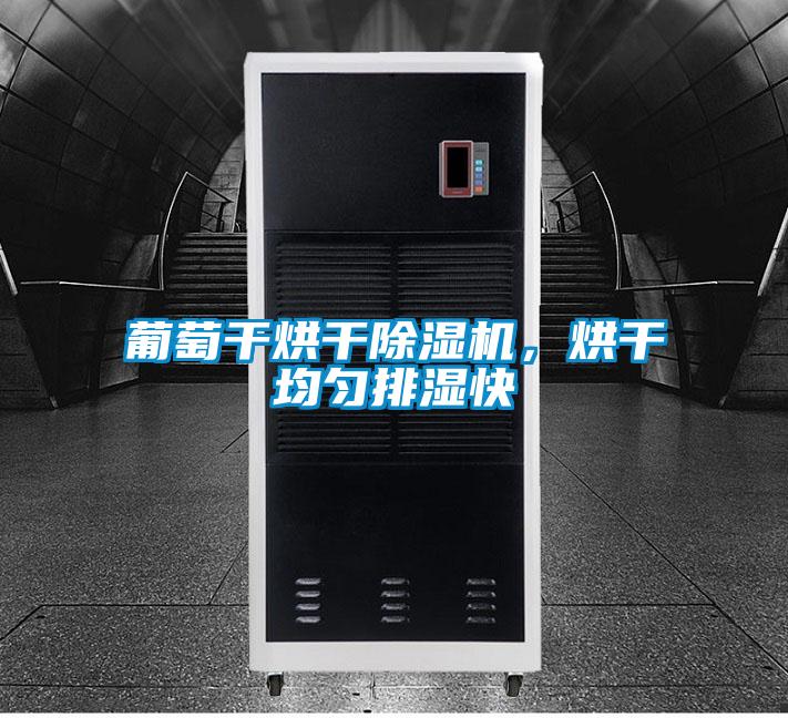 葡萄干烘干除濕機(jī)，烘干均勻排濕快